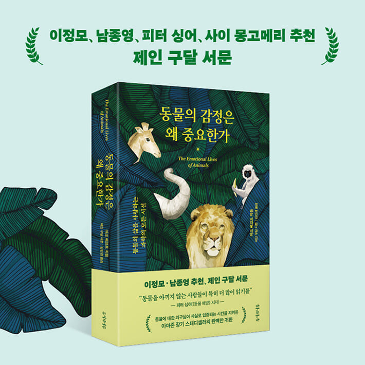 카드뉴스7