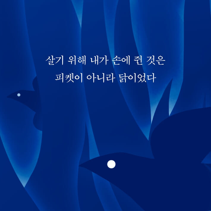 카드뉴스5