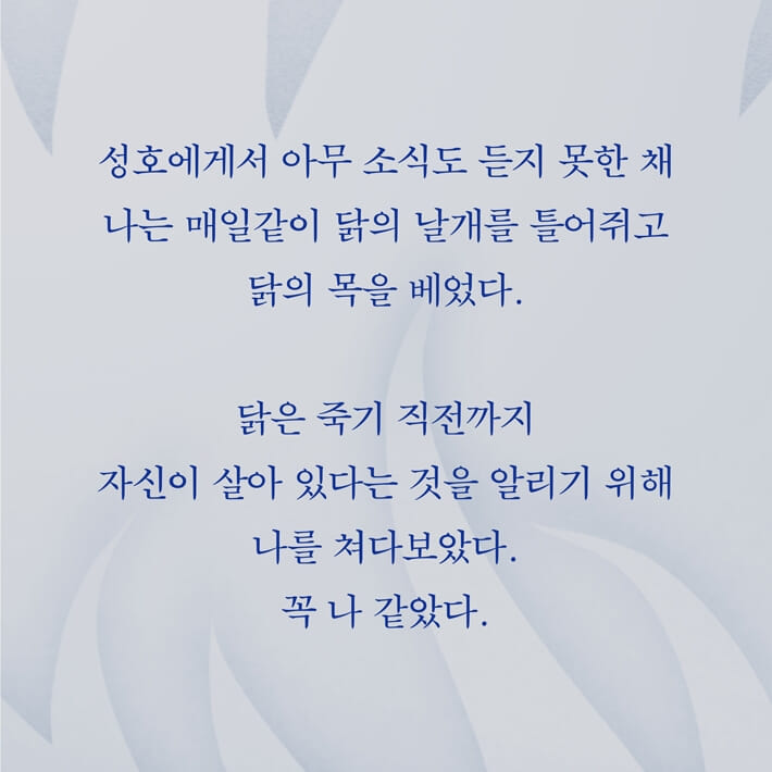 카드뉴스6