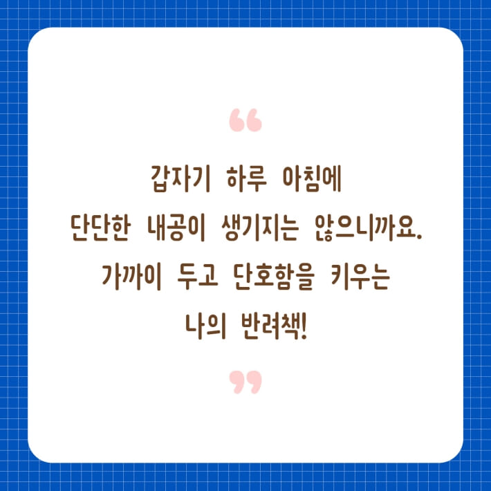 카드뉴스5