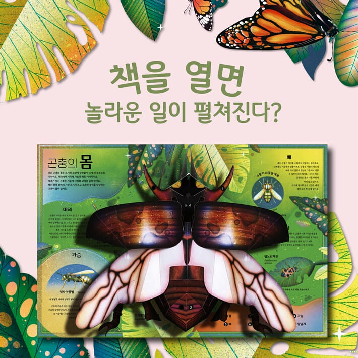카드뉴스0