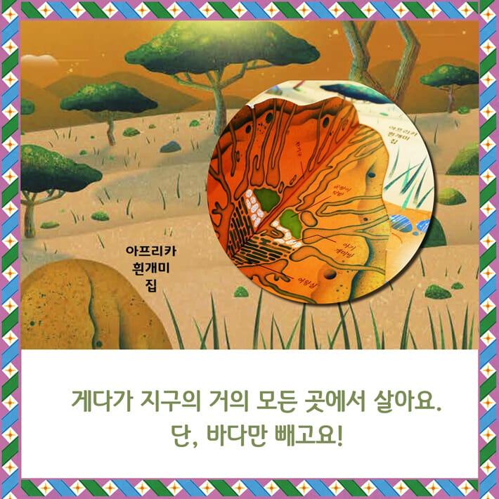 카드뉴스3