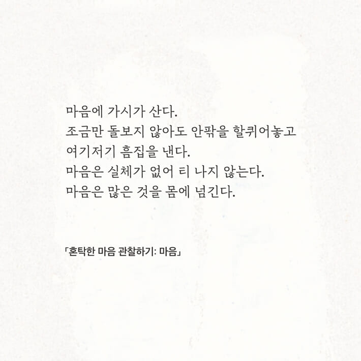 카드뉴스6
