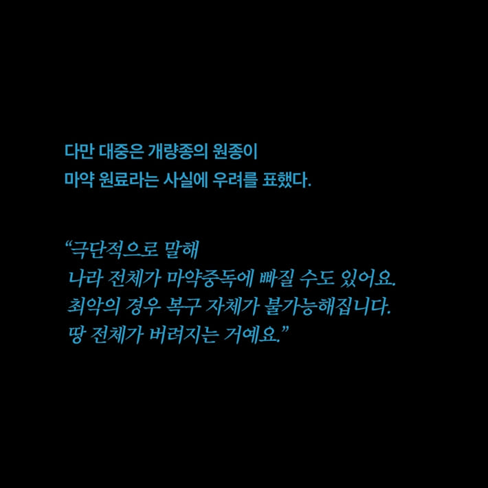 카드뉴스4