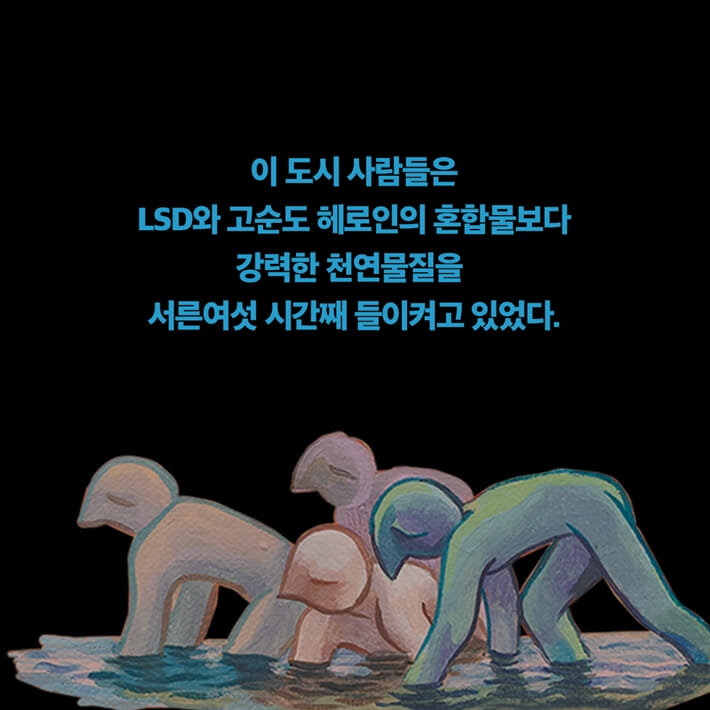 카드뉴스8