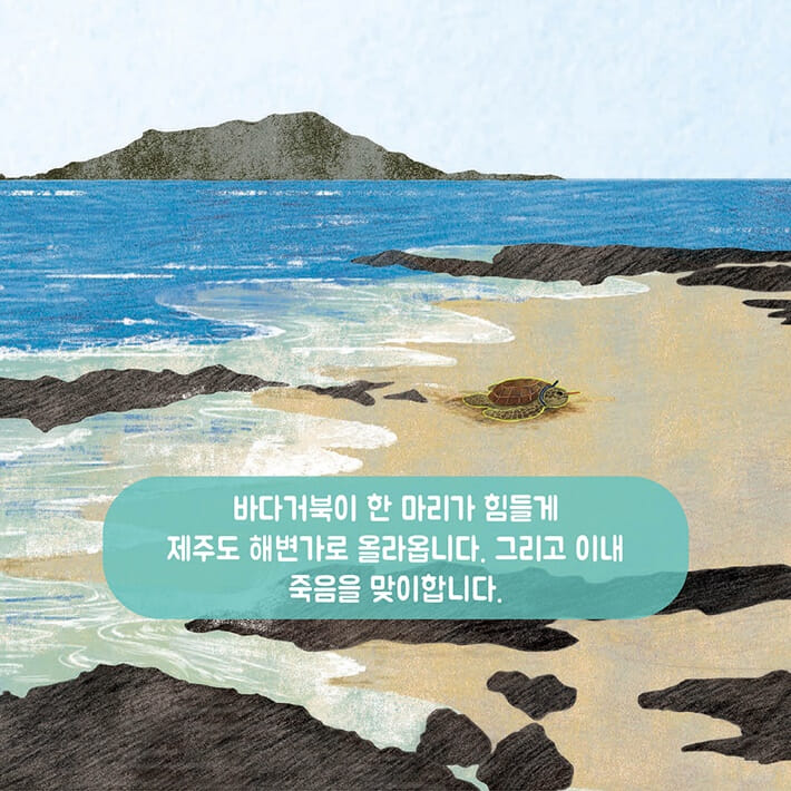 카드뉴스2