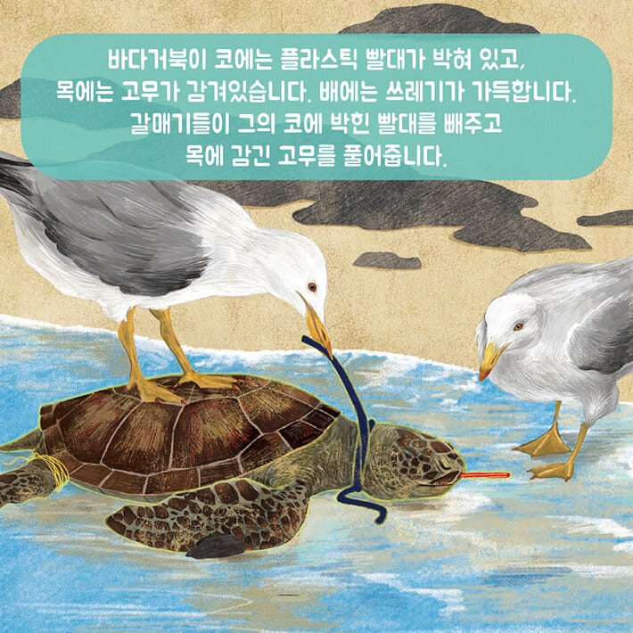 카드뉴스3