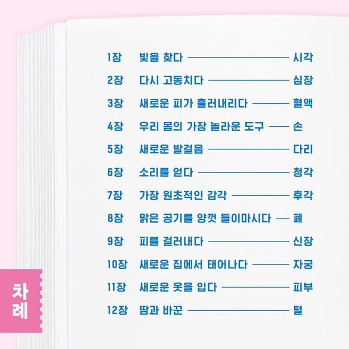 카드뉴스6
