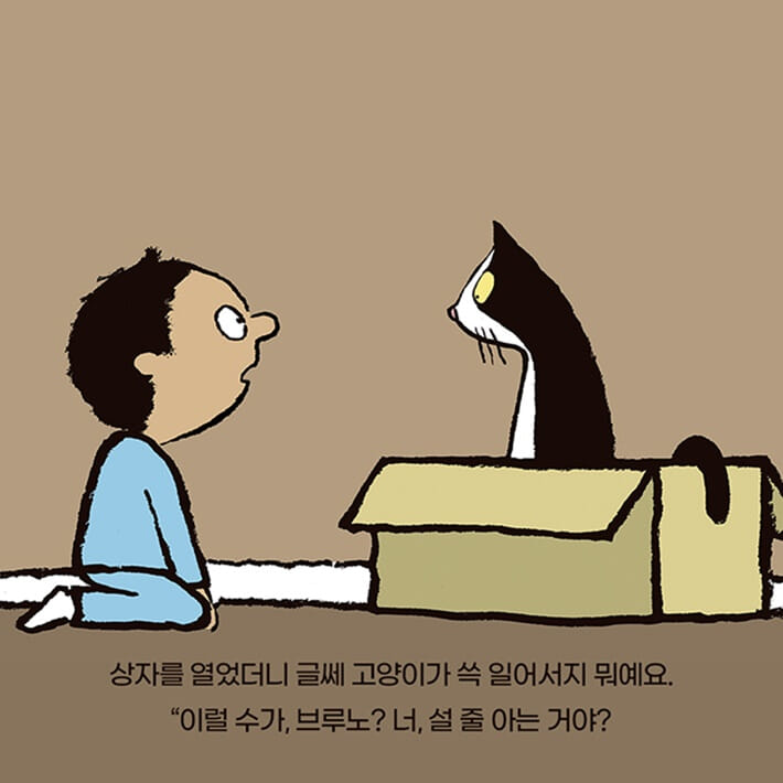 카드뉴스2