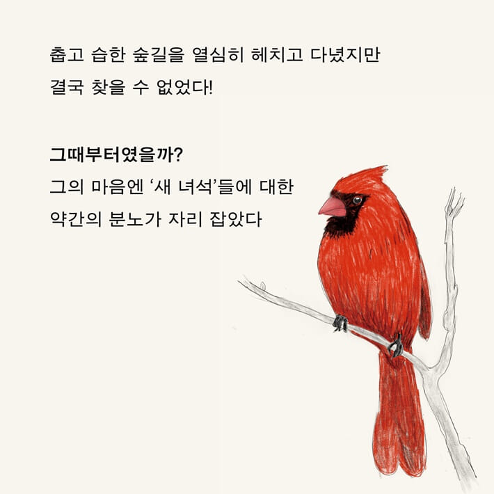 카드뉴스2