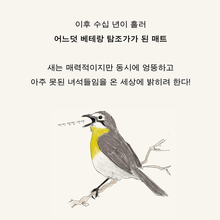 카드뉴스3