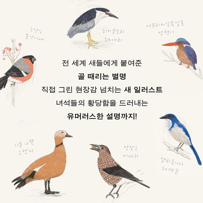 카드뉴스5