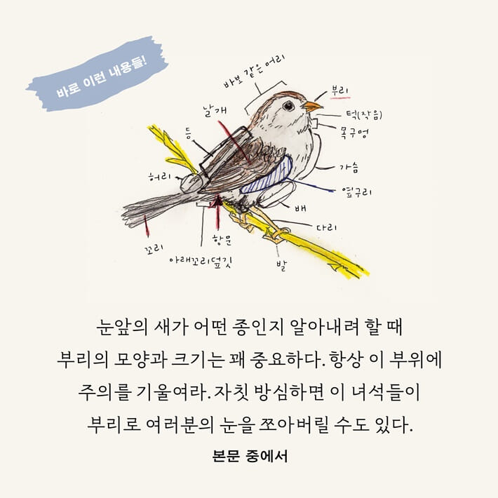 카드뉴스7