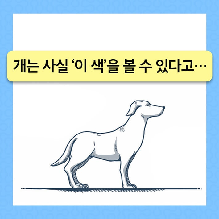 카드뉴스0