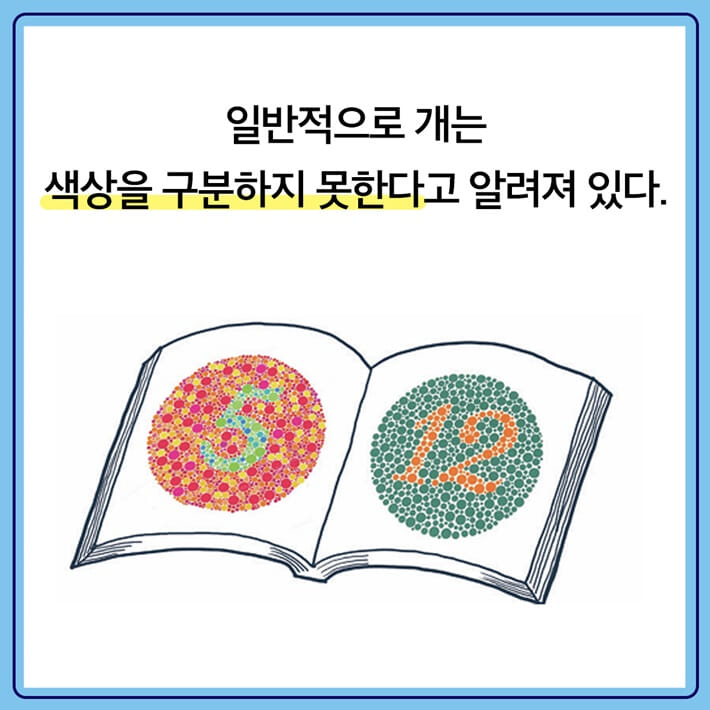 카드뉴스1