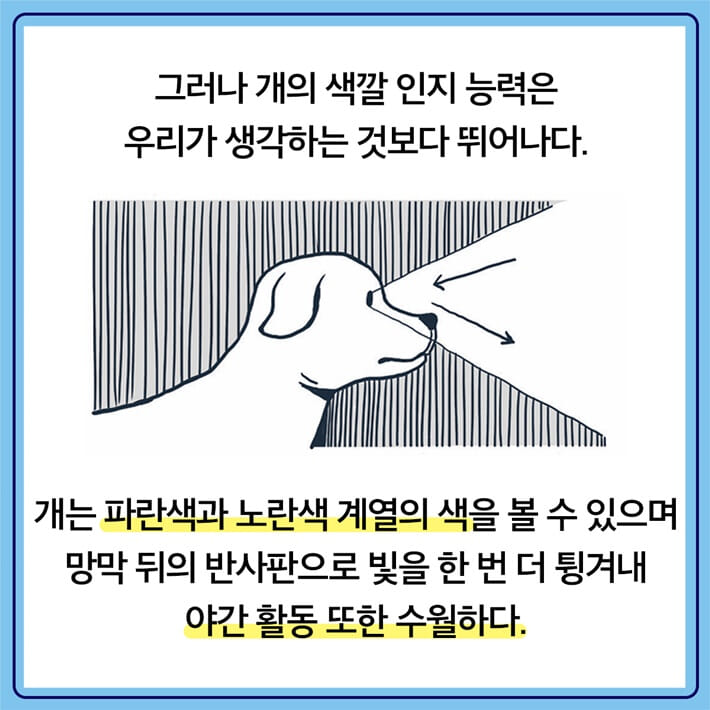 카드뉴스2