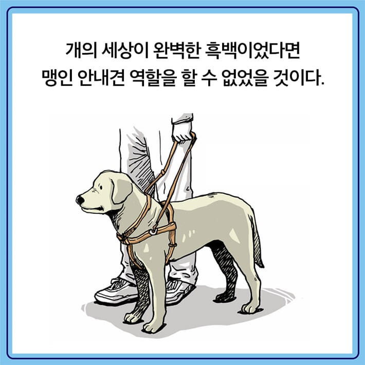 카드뉴스3