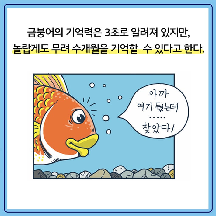 카드뉴스5