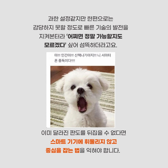 카드뉴스4
