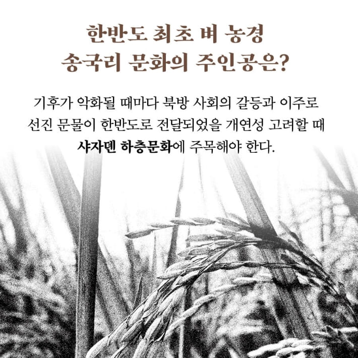 카드뉴스3