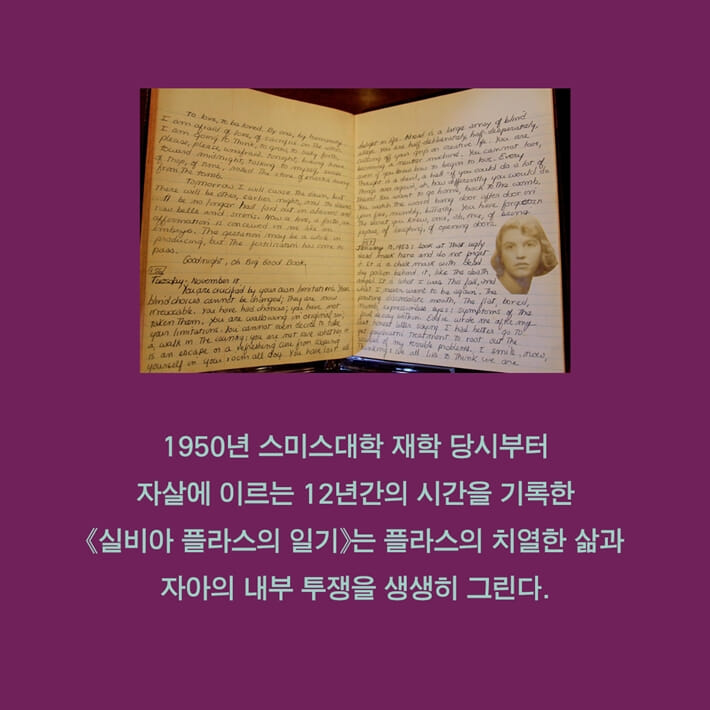 카드뉴스4