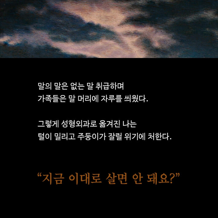 카드뉴스2