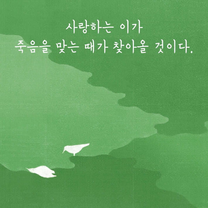 카드뉴스2
