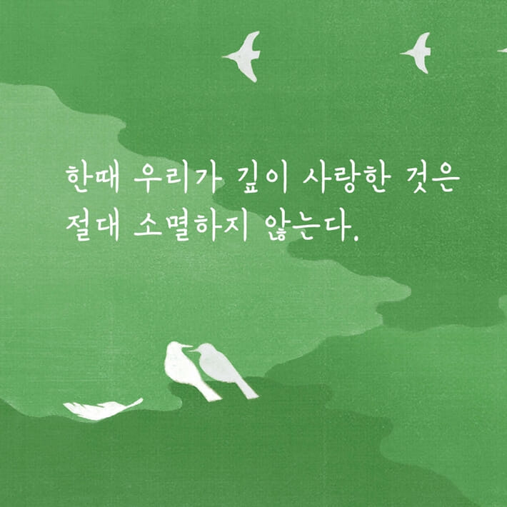 카드뉴스5