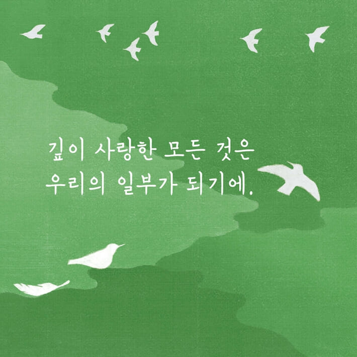 카드뉴스6