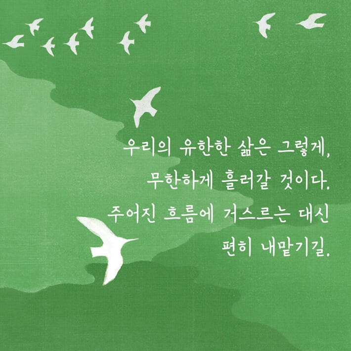 카드뉴스7