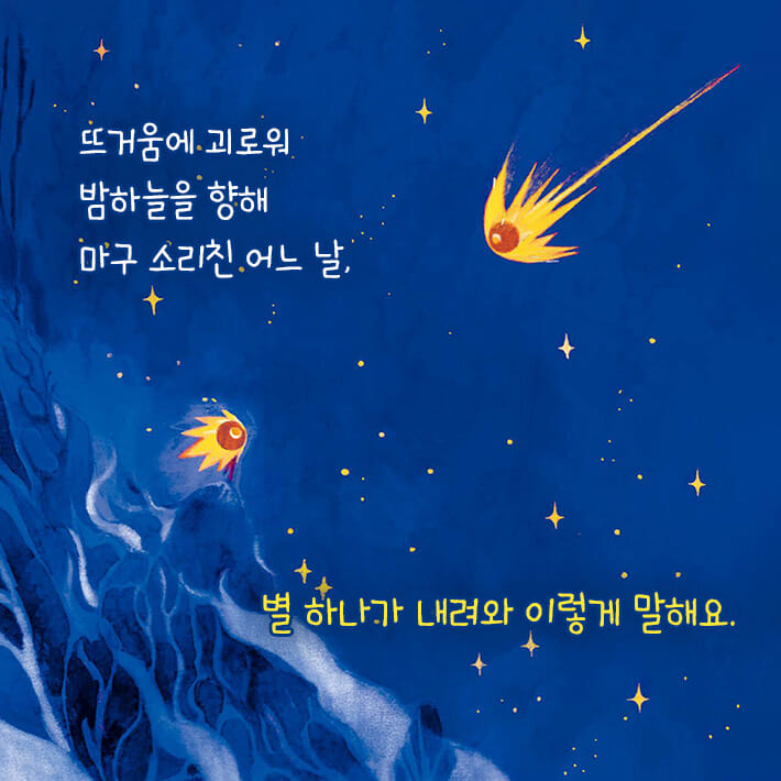카드뉴스5
