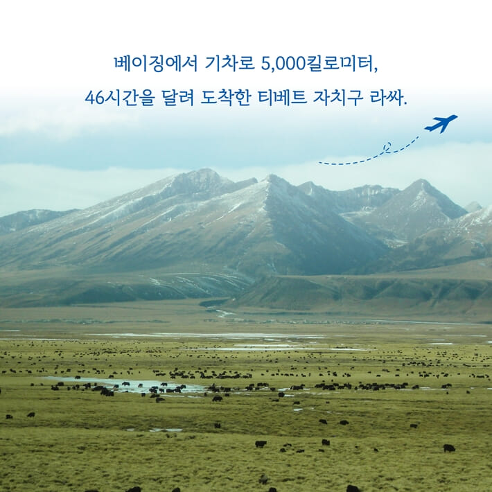 카드뉴스1