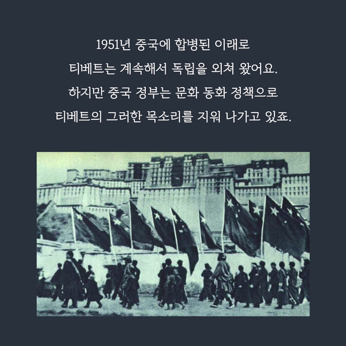 카드뉴스5