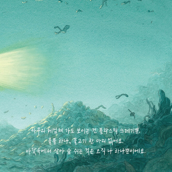 카드뉴스5