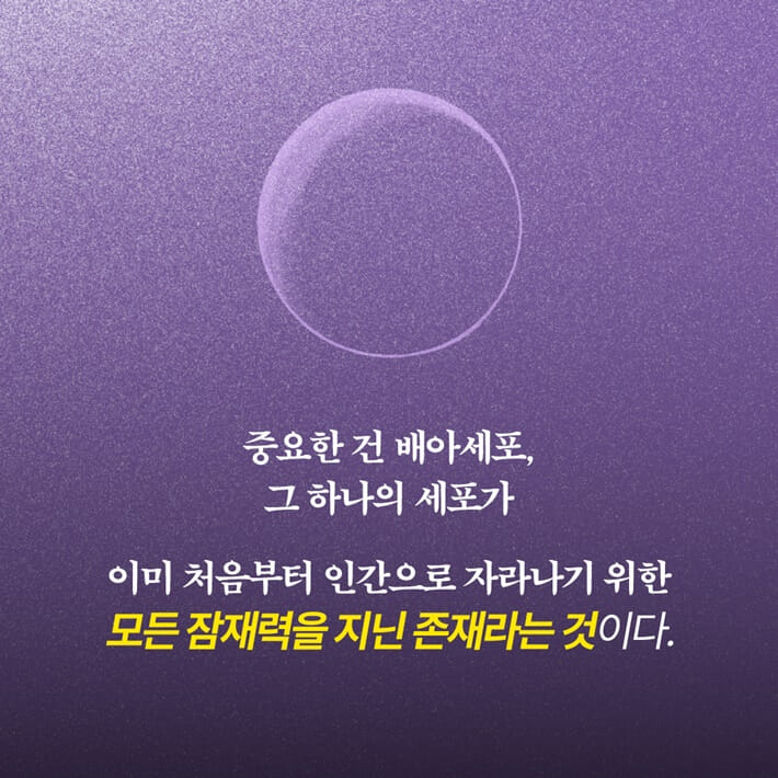 카드뉴스3