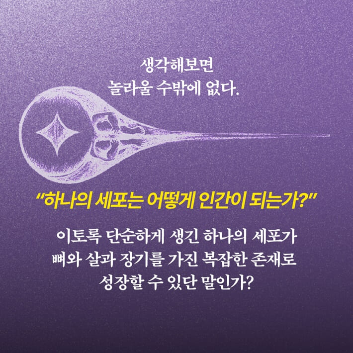 카드뉴스4