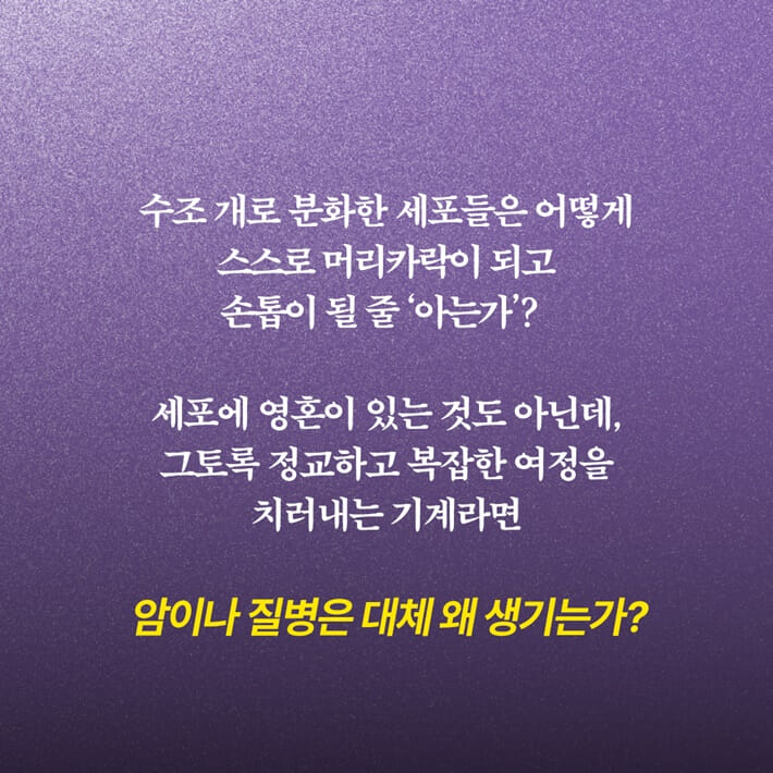 카드뉴스5