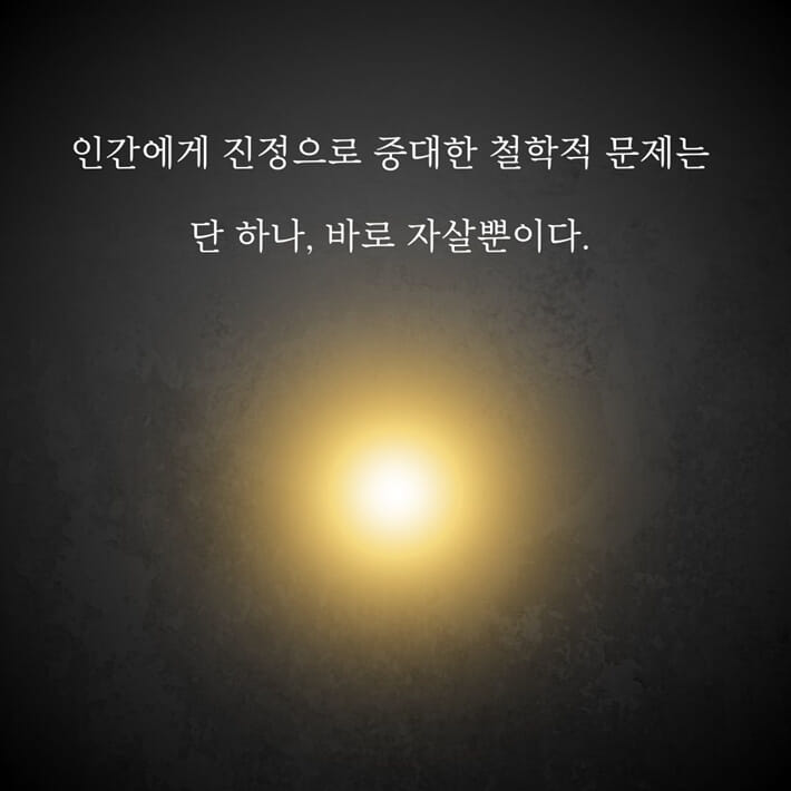 카드뉴스3