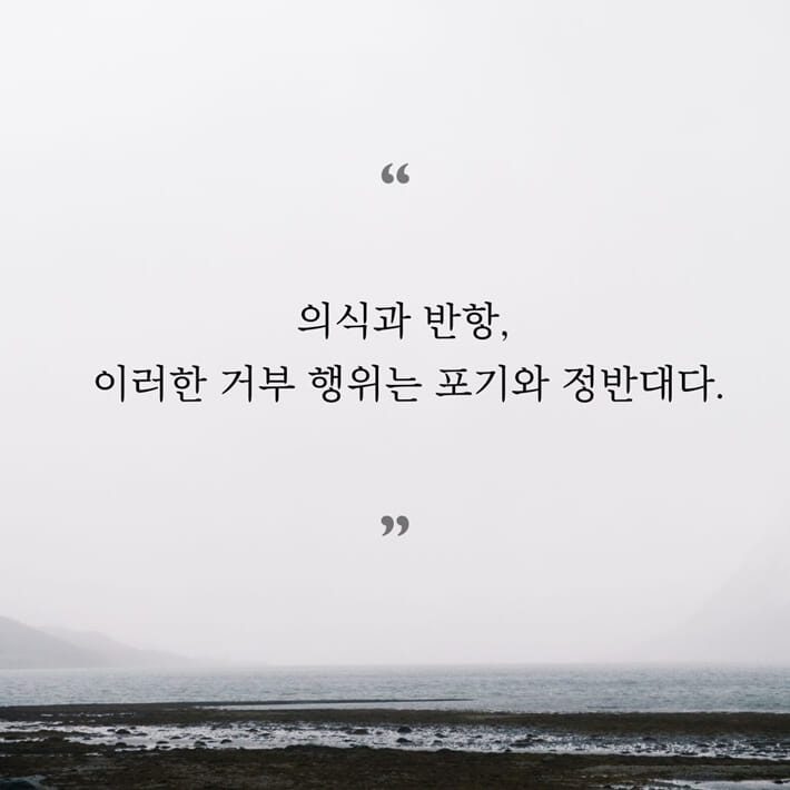 카드뉴스5