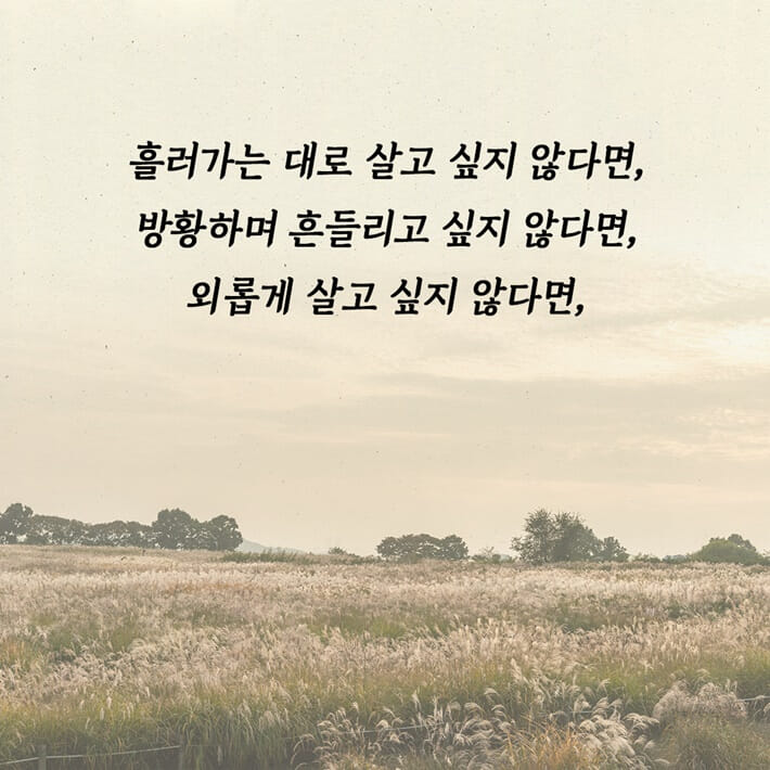 카드뉴스7