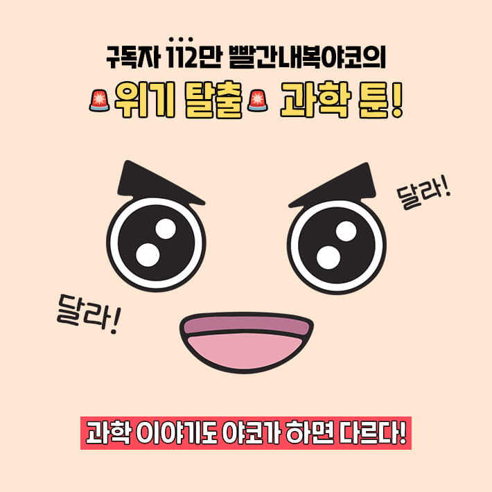 카드뉴스7