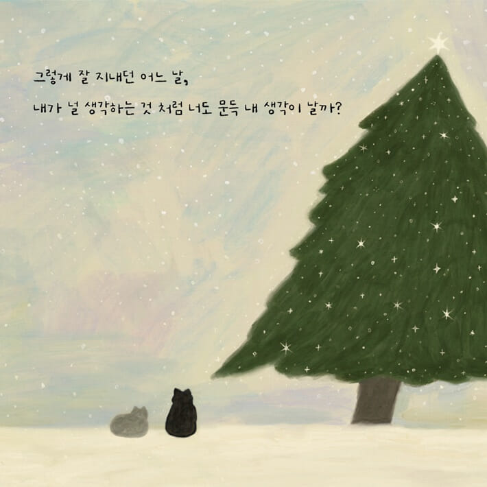 카드뉴스6