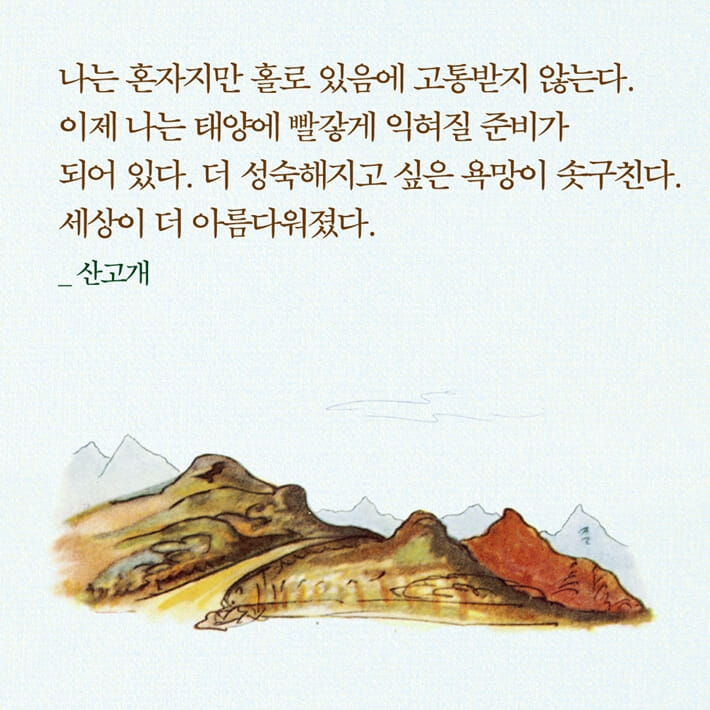 카드뉴스2
