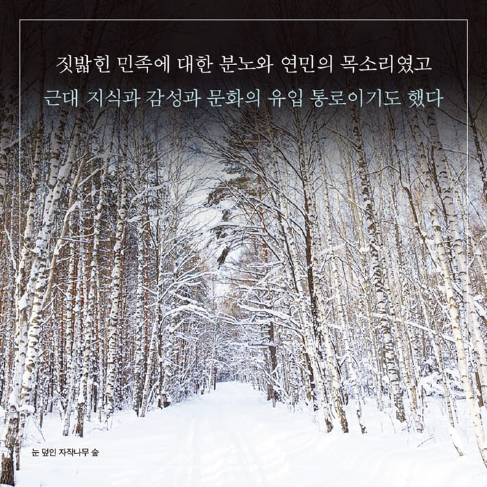 카드뉴스4