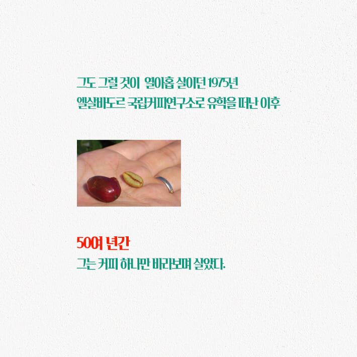 카드뉴스2