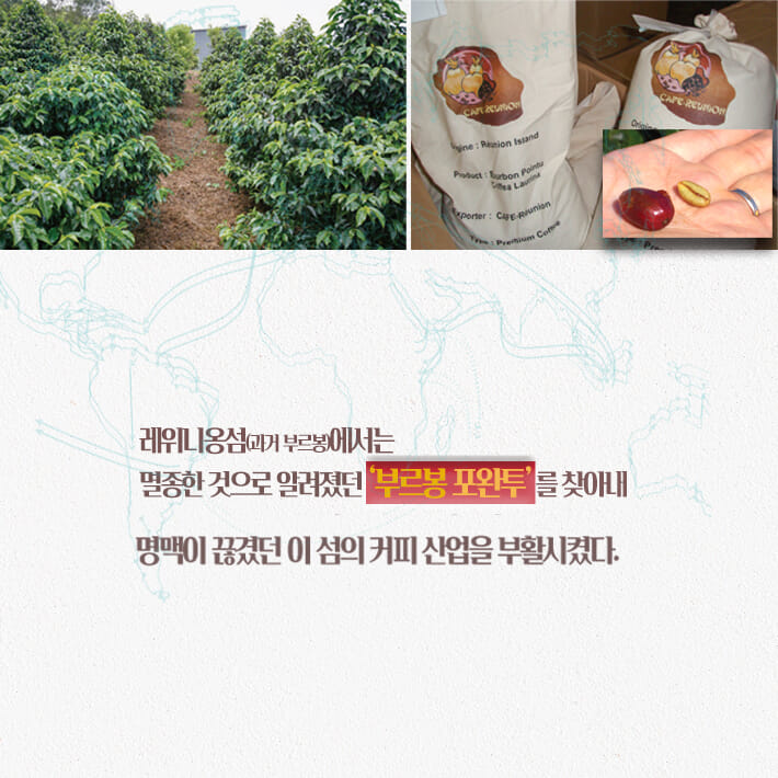 카드뉴스6