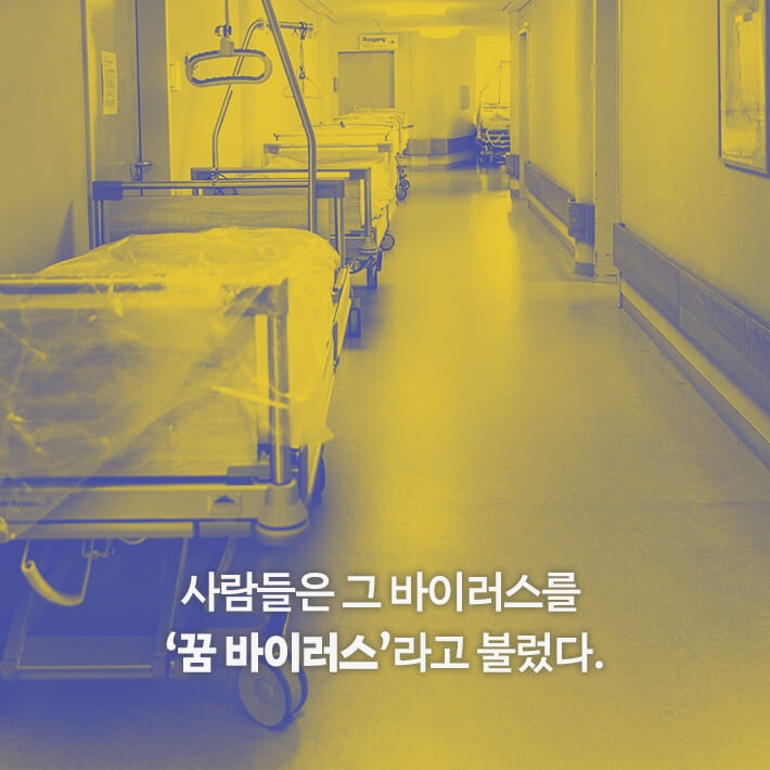카드뉴스3