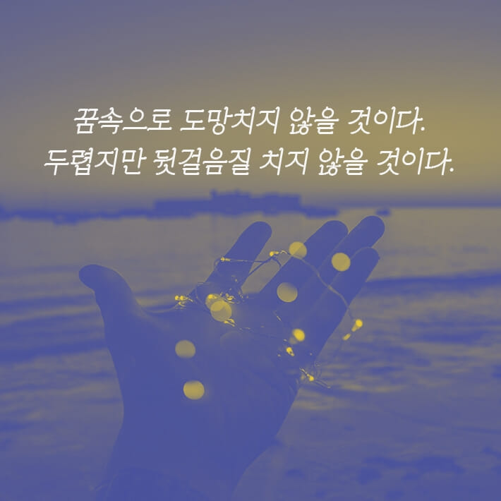 카드뉴스7