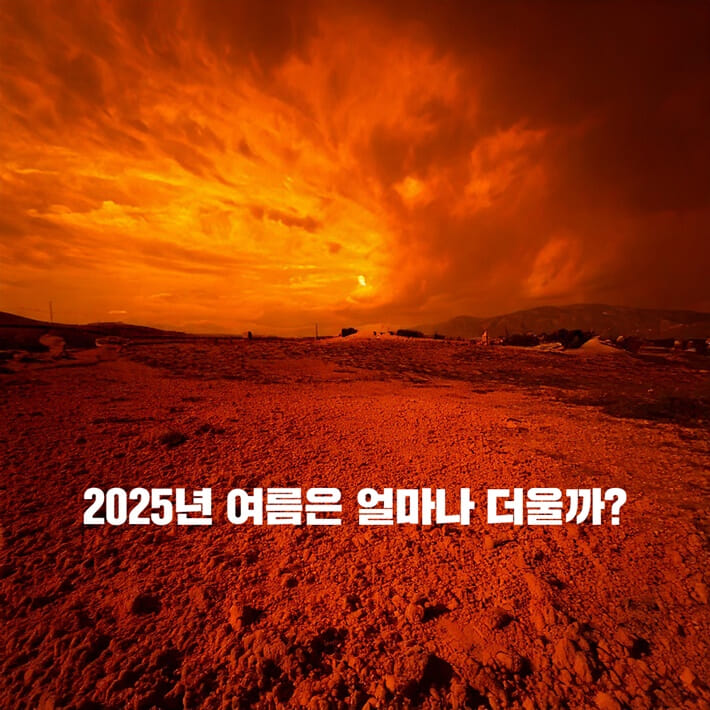 카드뉴스0