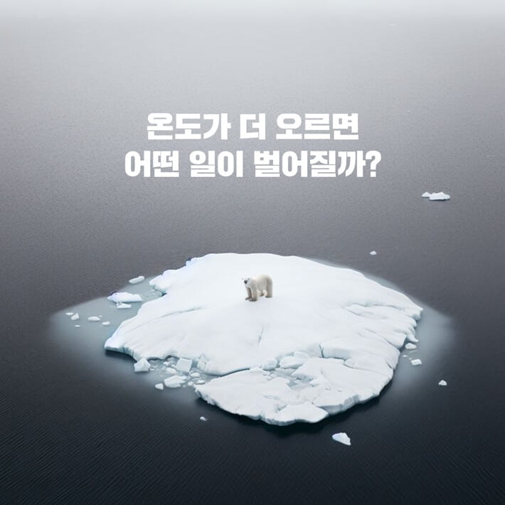 카드뉴스1